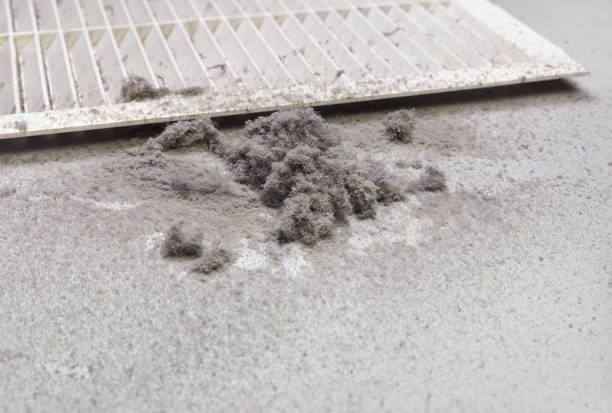 Best Affordable Air Duct Cleaning  in St Peter, MN