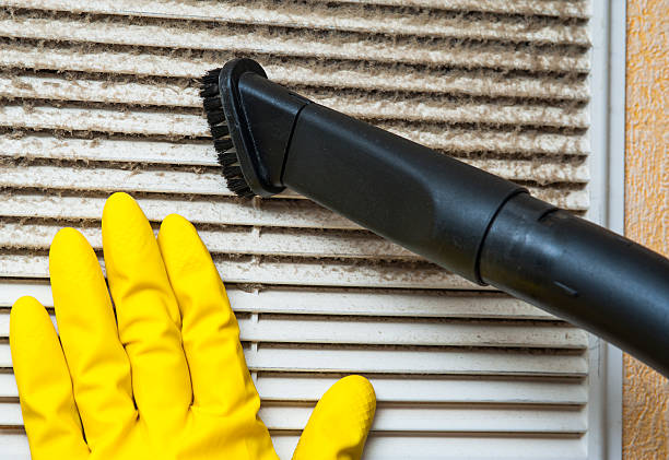 Best Dryer Vent Cleaning Services  in St Peter, MN
